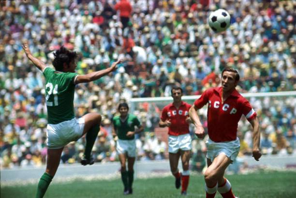 许多国际知 许多国际知